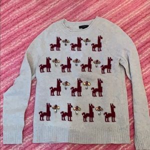 Llama sweater